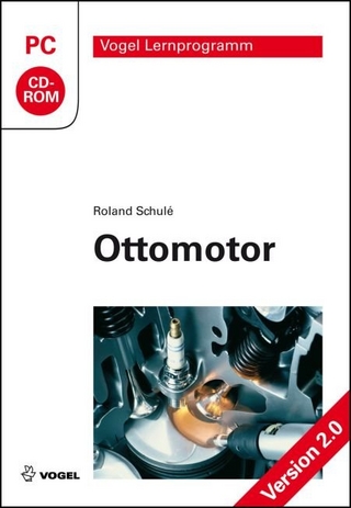 Ottomotor