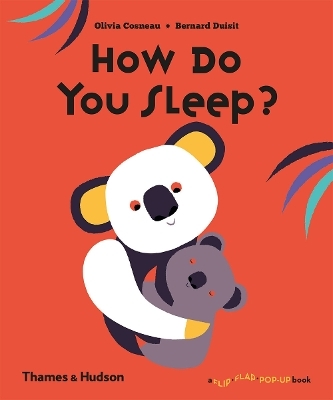 How Do You Sleep? - Olivia Cosneau, Bernard Duisit