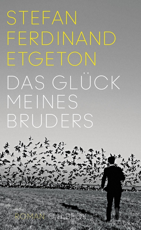 Das Gl&uuml;ck meines Bruders - Stefan Ferdinand Etgeton