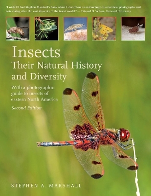 Insects: Their Natural History and Diversity - Stephen A. Marshall