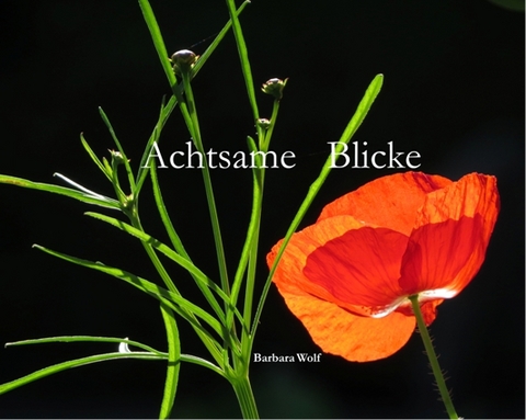 Achtsame Blicke - 