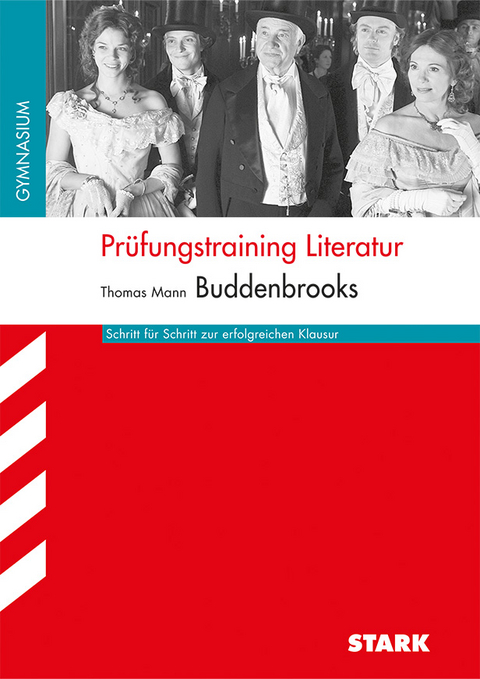 Prüfungstraining Literatur - Thomas Mann: Buddenbrooks (NRW) - Ina Rogge