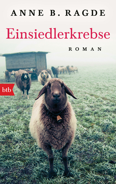 Einsiedlerkrebse - Anne B. Ragde
