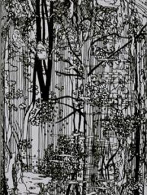 B&uuml;cherwald - Ingo Giezendanner