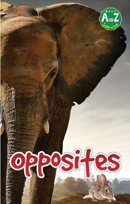 Opposites -  Pegasus