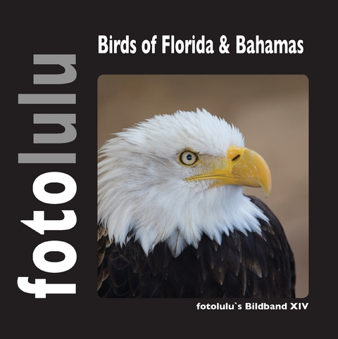 Birds of Florida & Bahamas -  fotolulu