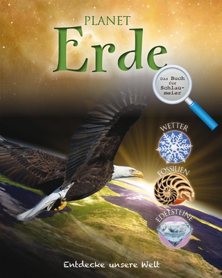 Planet Erde