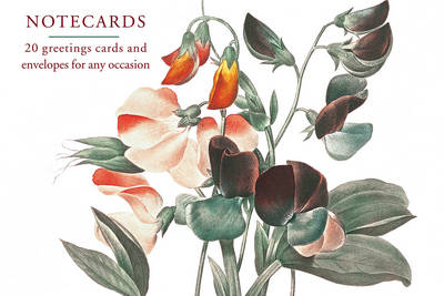 Card Box of 20 Notecards and Envelopes: Sweetpea -  Peony Press