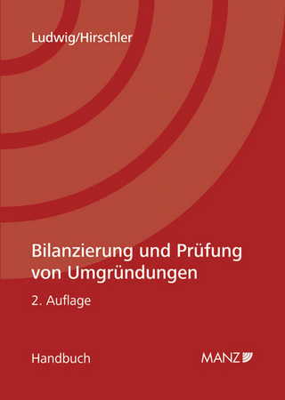 Bilanzierung und Prüfung von Umgründungen