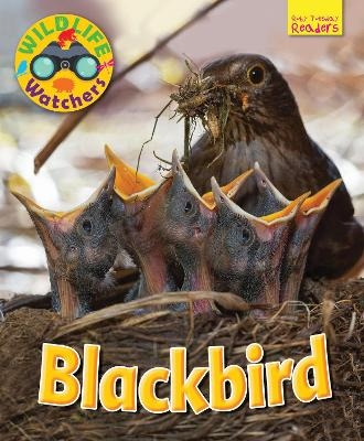 Wildlife Watchers: Blackbird - Ruth Owen