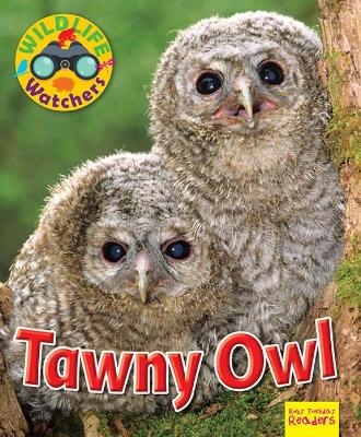 Wildlife Watchers: Tawny Owl - Ruth Owen