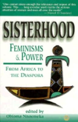 Sisterhood, Feminisms And Power In Africa - 