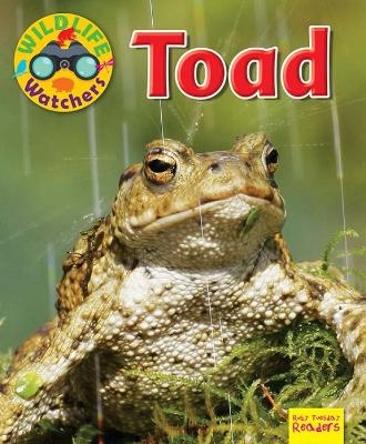 Wildlife Watchers: Toad - Ruth Owen