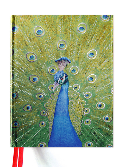 Peacock in Blue and Green (Blank Sketch Book) - 