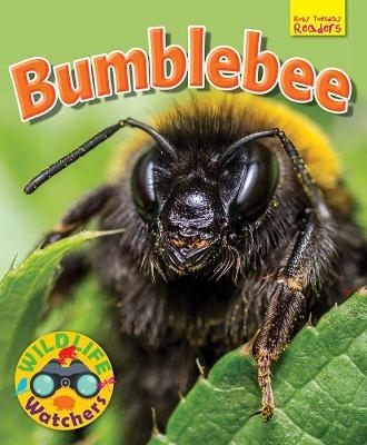 Wildlife Watchers: Bumblebee - Ruth Owen