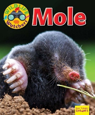 Wildlife Watchers: Mole - Ruth Owen