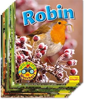 Wildlife Watchers - Ruth Owen