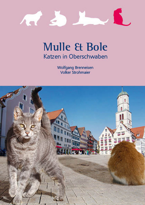 Mulle & Bole - Wolfgang Brenneisen, Volker Strohmaier