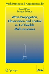 Wave Propagation, Observation and Control in 1-d Flexible Multi-Structures - Ren&eacute; D&aacute;ger, Enrique Zuazua