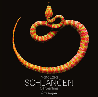 Schlangen - Serpentine
