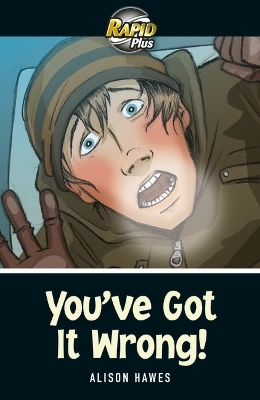 Rapid Plus Stage 5 Easy Buy Pack - Alison Hawes, Dennis Hamley, David Grant