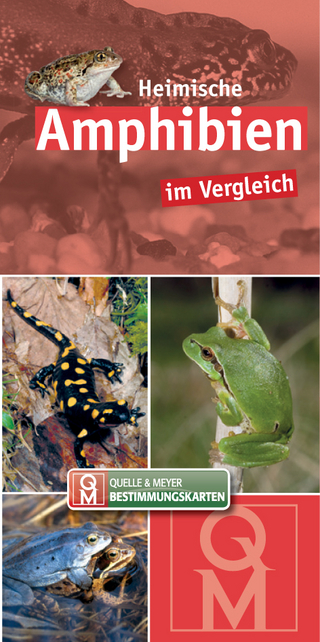 Heimische Amphibien im Vergleich