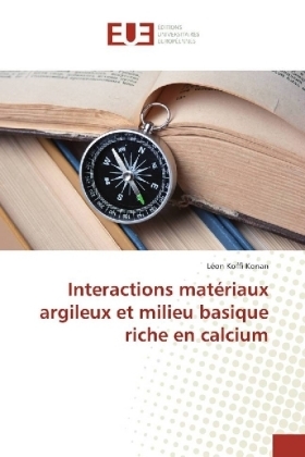 Interactions matériaux argileux et milieu basique riche en calcium