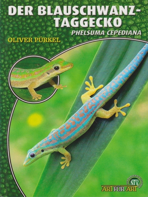 Der Blauschwanz-Taggecko - Oliver Pürkel