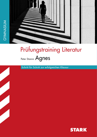 Prüfungstraining Literatur - Stamm: Agnes (Baden-Württemberg)