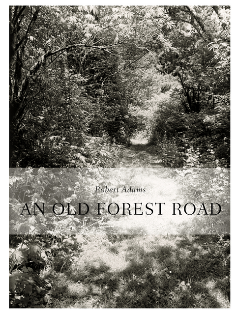 Robert Adams. An Old Forest Road - Henry David Thoreau, W.S. Merwin