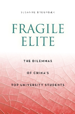 Fragile Elite - Susanne Bregnbaek