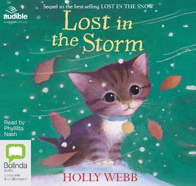 Lost in the Storm - Holly Webb