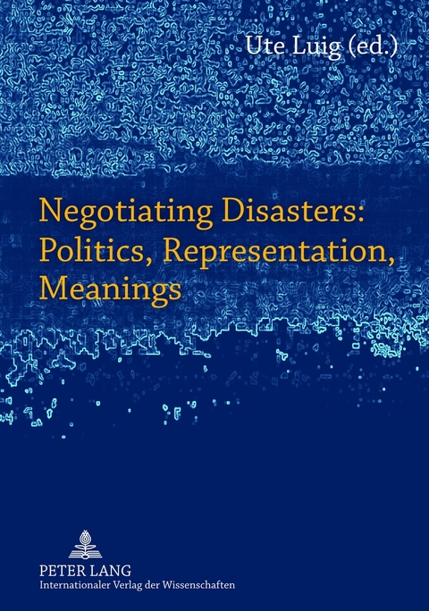 Negotiating Disasters: Politics, Representation, Meanings - 