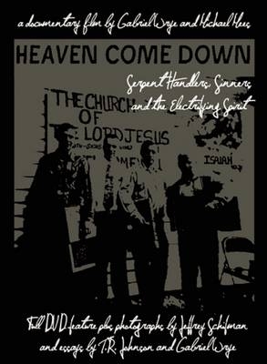 Heaven Come Down - Michael Mees, Gabriel Wrye