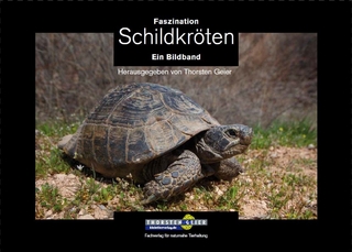 Faszination Schildkröten