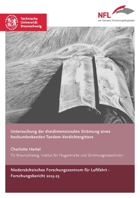 Untersuchung der dreidimensionalen Strömung eines hochumlenkenden Tandem-Verdichtergitters - Charlotte Hertel