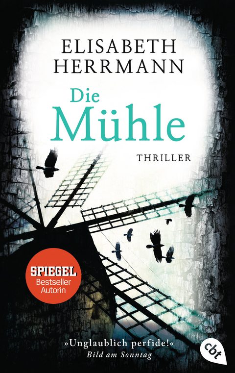 Die M&uuml;hle - Elisabeth Herrmann