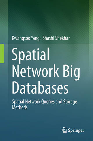 Spatial Network Big Databases