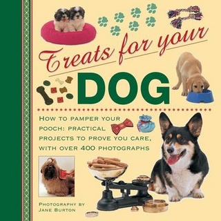 Treats for Your Dog