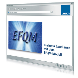Business Excellence mit dem EFQM-Modell