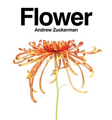 Flower - Andrew Zuckerman