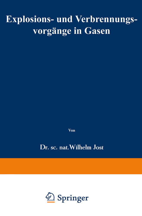 Explosions- und Verbrennungsvorg&auml;nge in Gasen - Wilhelm Jost