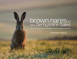 Brown Hares in the Derbyshire Dales