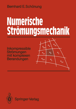 Numerische Strömungsmechanik