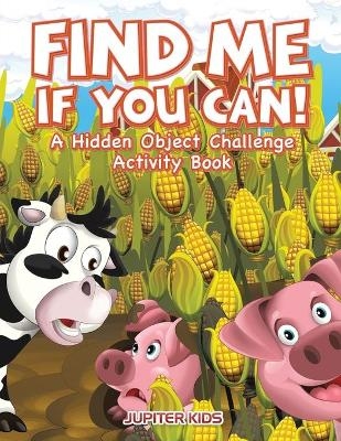 Find Me If You Can! A Hidden Object Challenge Activity Book -  Jupiter Kids