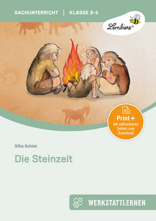 Die Steinzeit