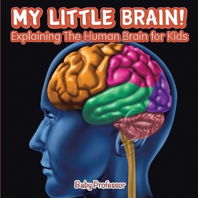 My Little Brain! - Explaining The Human Brain for Kids -  Baby Professor