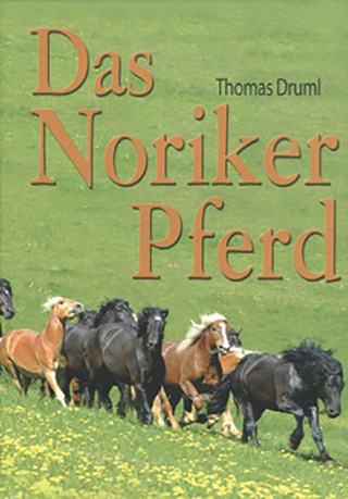 Das Noriker Pferd