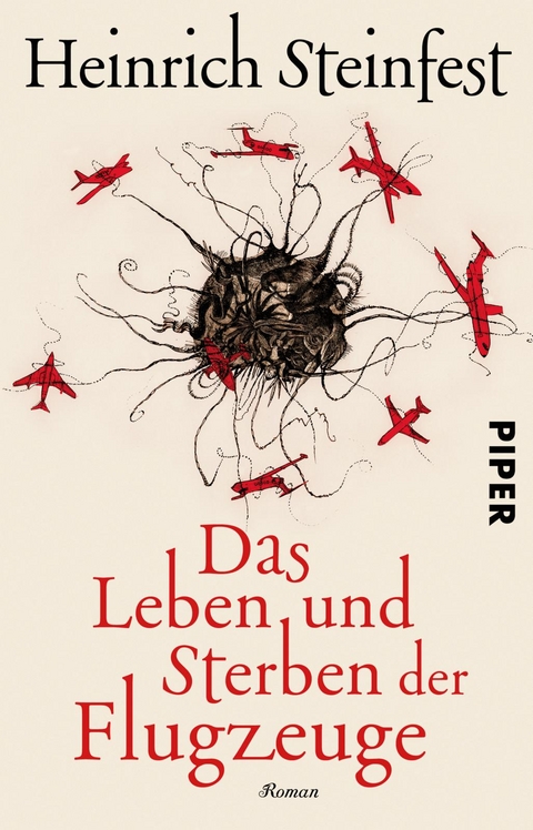 Das Leben und Sterben der Flugzeuge - Heinrich Steinfest