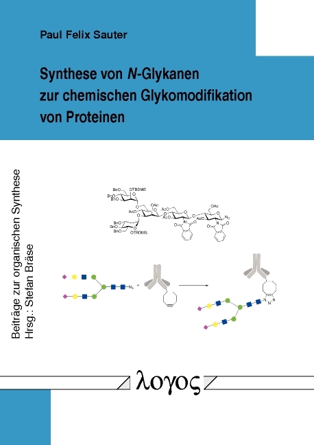 Synthese von N-Glykanen zur chemischen Glykomodifikation von Proteinen - Paul Felix Sauter